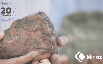 Minxcon Celebrating 20 Years of Excellence